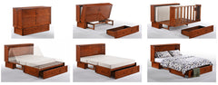 Daisy Murphy Cabinet Bed with Premium Mattress Included