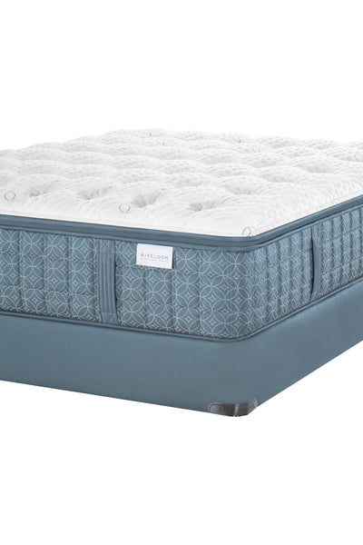 AIRELOOM - Handmade Preferred Streamline Luxetop M1 Firm Mattress