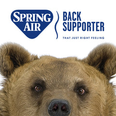 Spring Air Back Supporter Platinum "Coco" Pillowtop Mattress