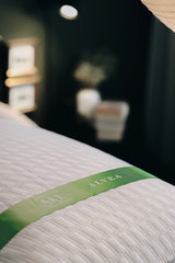 SKY SLEEP - ALVEA ITALIAN ALOE INFUSED MEMORY FOAM COOLING PILLOW